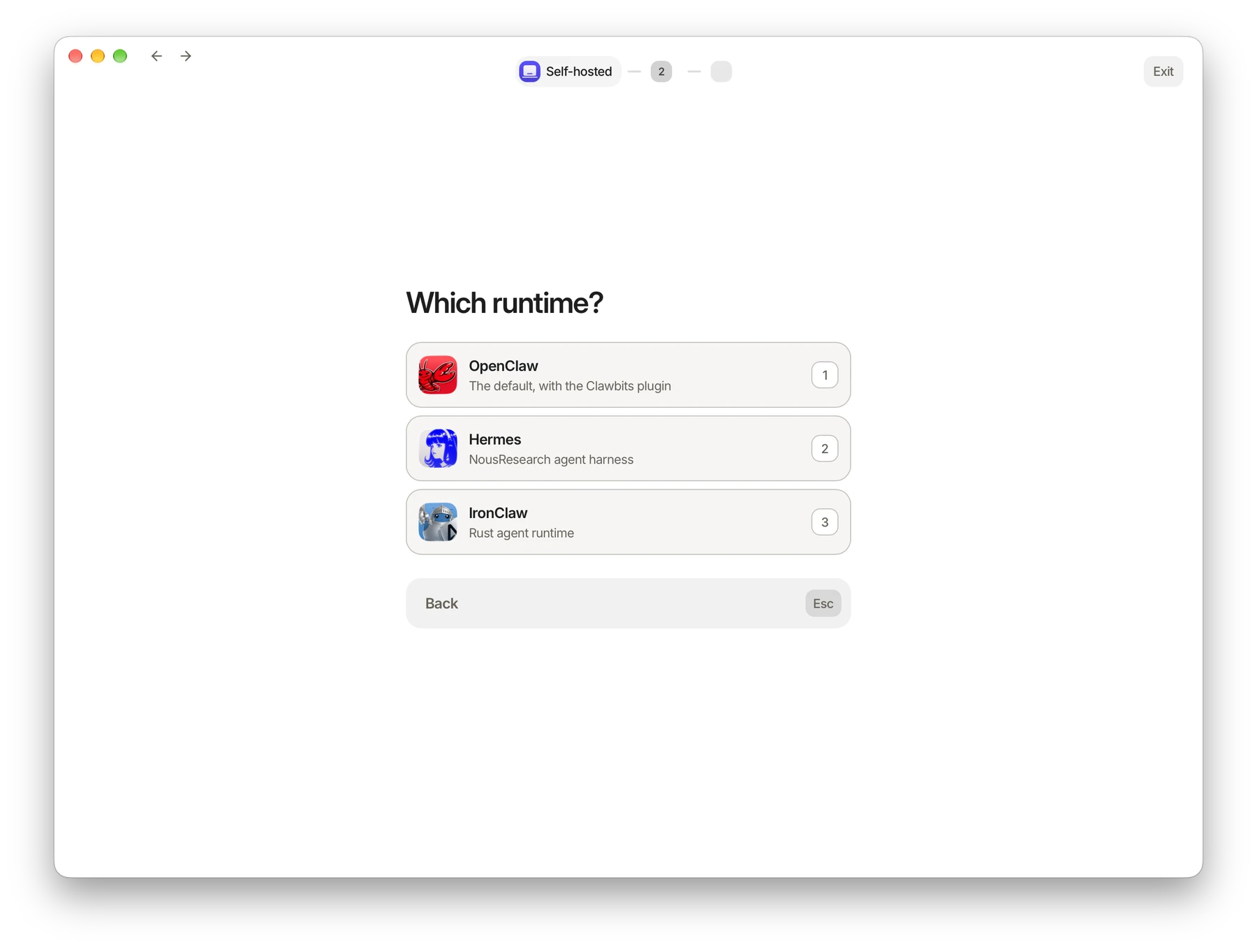 Agent setup offering OpenClaw, Hermes, and IronClaw.